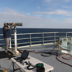 Basic MMO – Marine Mammal Observer (Entry Level)