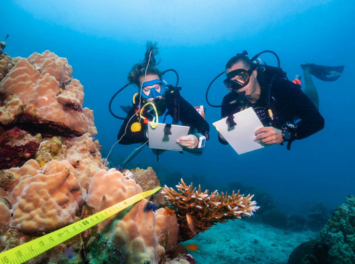 Screenshot 2025 12 22 at 4.32.48 PM